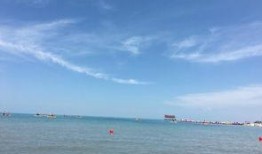 青海湖旅游爆料最新消息,探秘高原明珠的蜕变之旅